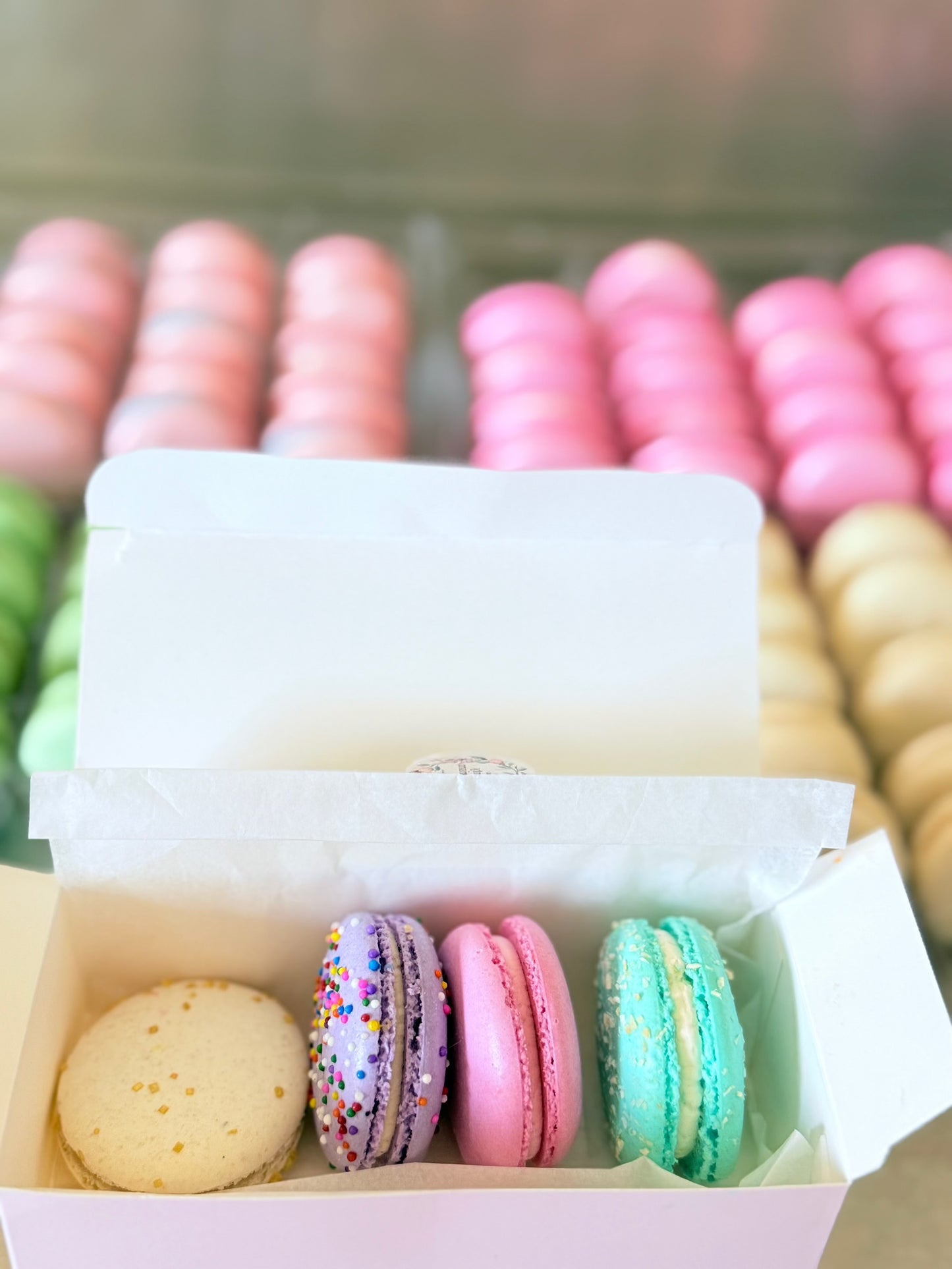 Macarons - Paquet de 12