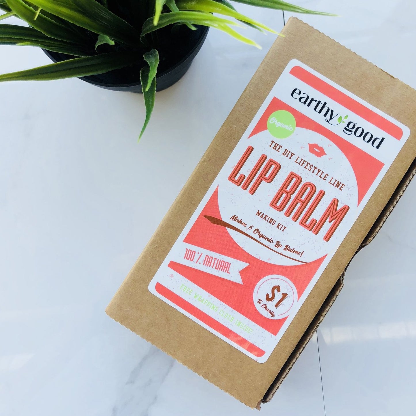 Earthy Goods - DIY Lip Balm Kit