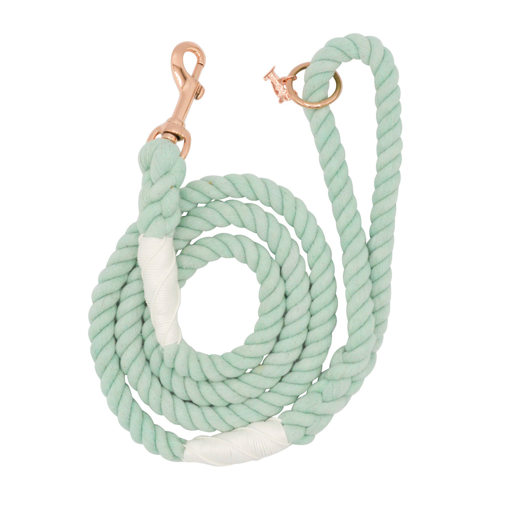 
                
                    Load image into Gallery viewer, SASSY WOOF - Dog Rope Leash - Mint to Be
                
            