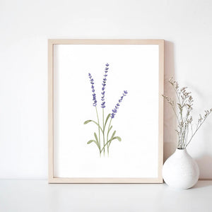 Watercolour Print: Lavender