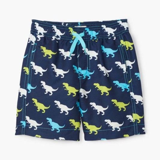 T-Rex Silhouettes Swim Trunks